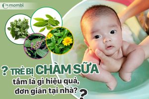 Tắm lá gì phòng chàm sữa ở trẻ an toàn, đơn giản tại nhà ?