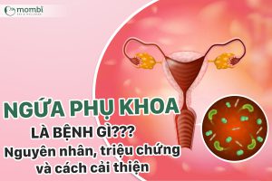 Ngứa phụ khoa là bệnh gì? Lý do, triệu chứng và cách cải thiện là gì?