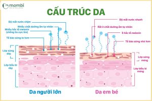 Cấu trúc da của con vẫn còn non yếu và nhạy cảm lắm 